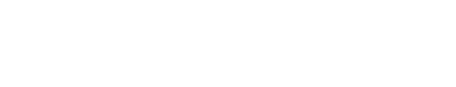 light logo